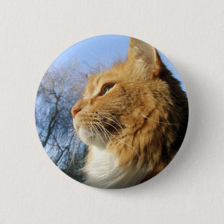 Macaron Rond 5 Cm Bouton de chat de cieux bleus