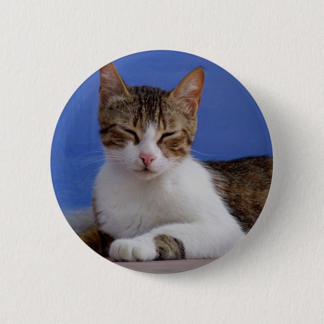 Macaron Rond 5 Cm Bouton de chat grec (Devant)
