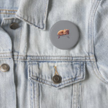 Bouton de Chat Rouquin Endormi