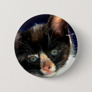 Macaron Rond 5 Cm Bouton de chaton de calicot