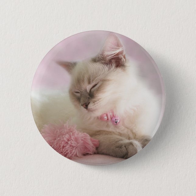 Macaron Rond 5 Cm bouton de chaton de ragdoll (Devant)