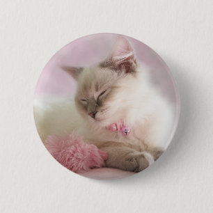 Macaron Rond 5 Cm bouton de chaton de ragdoll