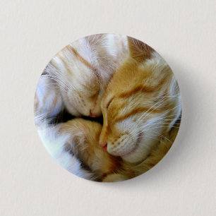 Macaron Rond 5 Cm Bouton de chatons de câlin