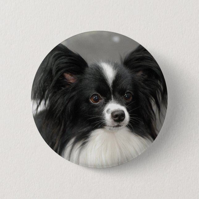 Macaron Rond 5 Cm Bouton de chien de Papillon (Devant)