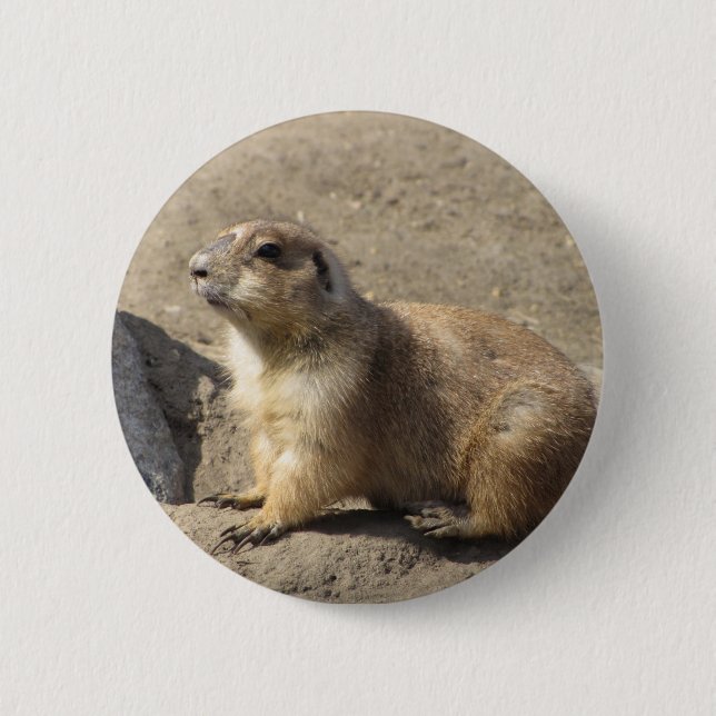 Macaron Rond 5 Cm Bouton de chien de prairie (Devant)