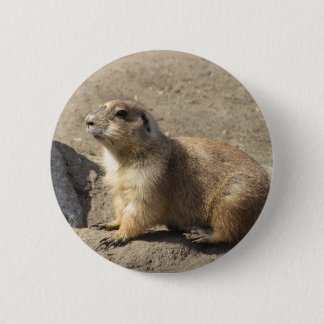Macaron Rond 5 Cm Bouton de chien de prairie