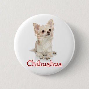 Macaron Rond 5 Cm Bouton de Chihuahua, très long,