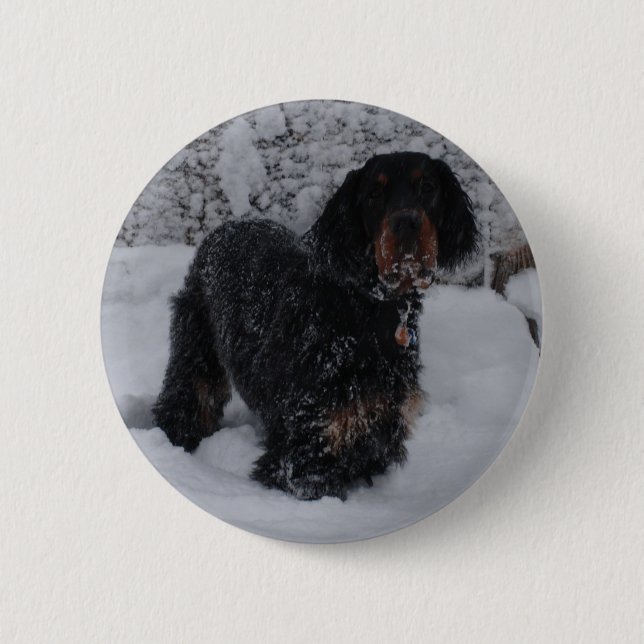 Macaron Rond 5 Cm Bouton de chiot Gordon Setter (Devant)