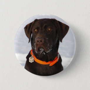 Macaron Rond 5 Cm Bouton de chocolat Labrador