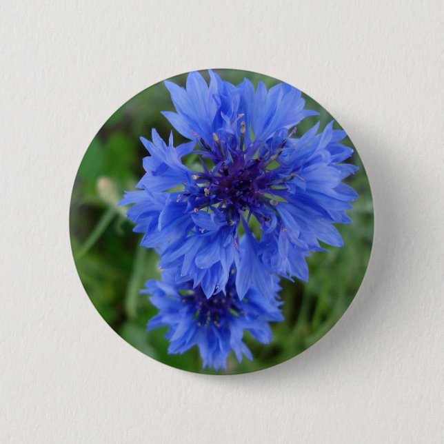 Macaron Rond 5 Cm Bouton de Cornflower bleu (Devant)