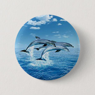 Macaron Rond 5 Cm Bouton de dauphins d'air