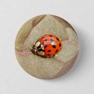Macaron Rond 5 Cm Bouton de ~ de la coccinelle 226