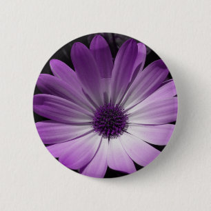 Macaron Rond 5 Cm Bouton de fleur de marguerite violette