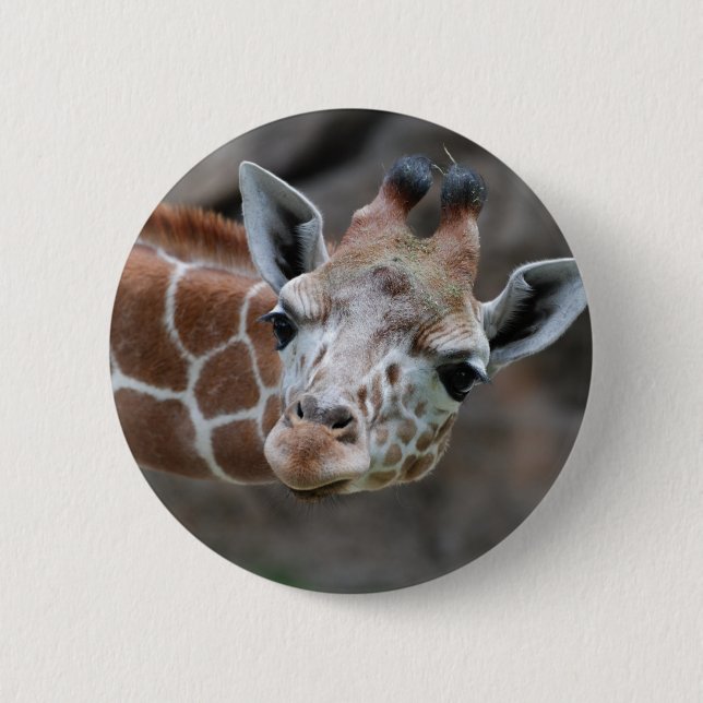 Macaron Rond 5 Cm Bouton de girafe (Devant)