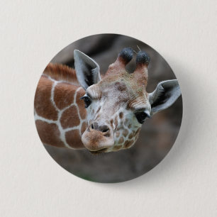 Macaron Rond 5 Cm Bouton de girafe