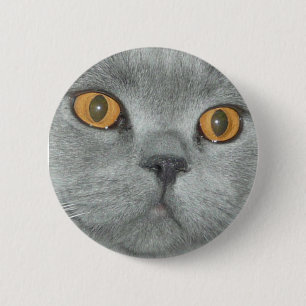 Macaron Rond 5 Cm Bouton de Kitty observé par orange mignonne