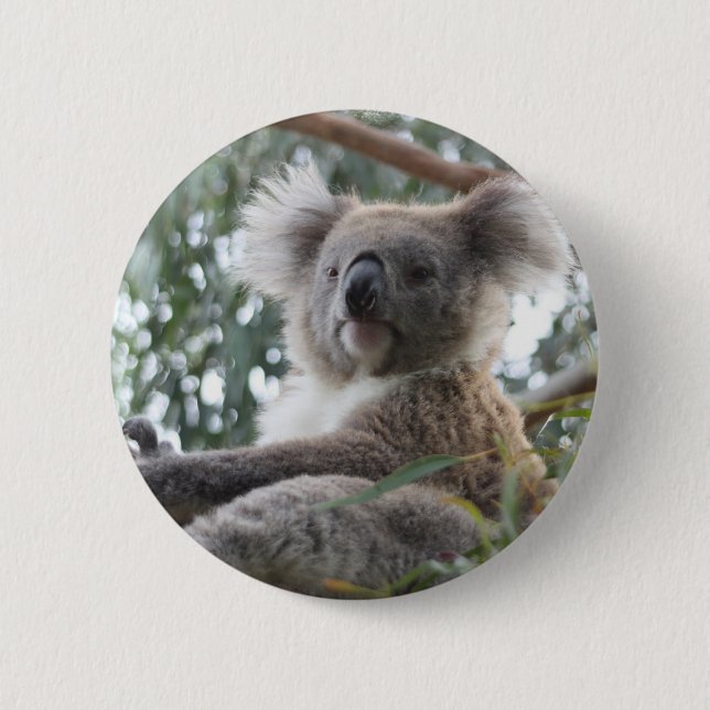 Macaron Rond 5 Cm Bouton de koala (Devant)
