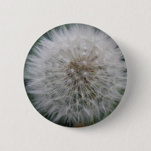 Macaron Rond 5 Cm Bouton de la fleur de Dandelion