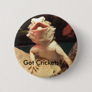 Macaron Rond 5 Cm Bouton de lézard/cricket