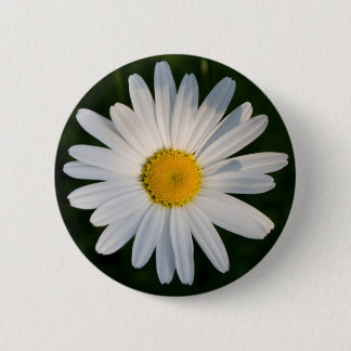Macaron Rond 5 Cm Bouton de marguerite