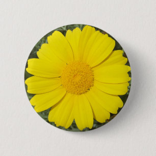 Macaron Rond 5 Cm Bouton de marguerite jaune