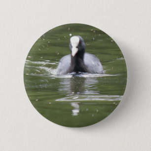 Macaron Rond 5 Cm Bouton de natation de pièce de monnaie