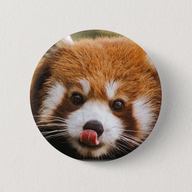 Macaron Rond 5 Cm Bouton de panda rouge (Devant)