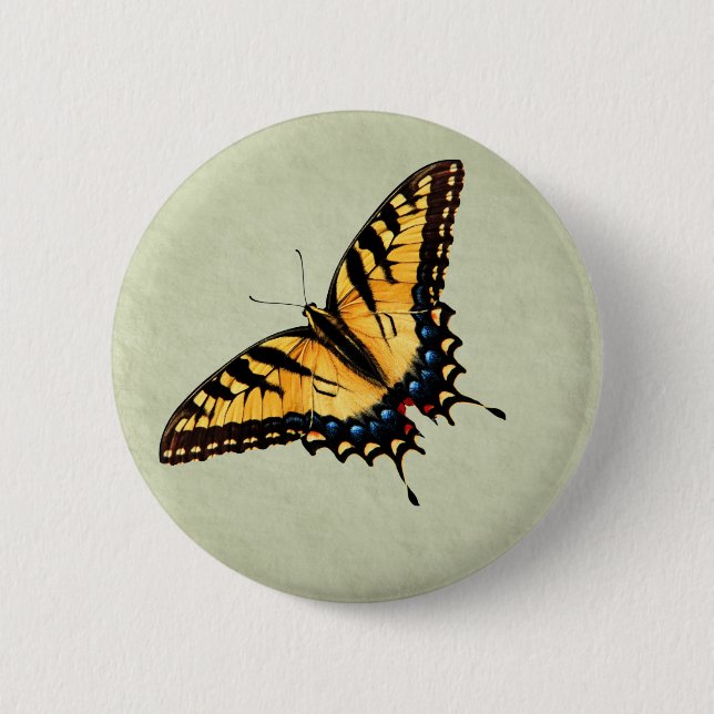 Macaron Rond 5 Cm Bouton de papillon de machaon de tigre (Devant)