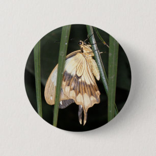 Macaron Rond 5 Cm Bouton de papillon magnifique