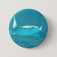 Bouton de pastenague