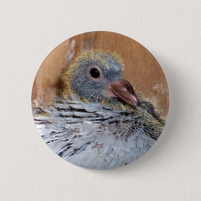 Macaron Rond 5 Cm Bouton de pigeon voyageur de bébé (Devant)