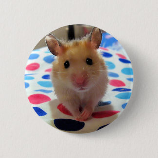 Macaron Rond 5 Cm Bouton de Pinback de hamster