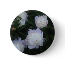 Bouton de pivoine