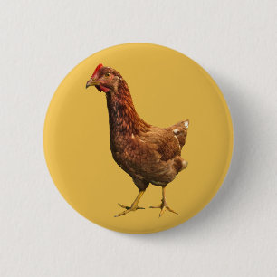 Macaron Rond 5 Cm Bouton de poulet de poule de rouge d'île de Rhode