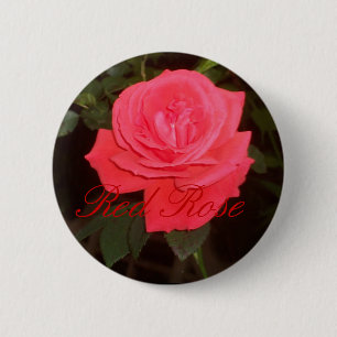 Macaron Rond 5 Cm Bouton de rose rouge