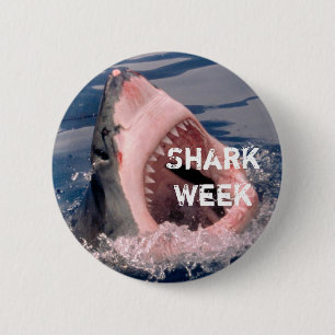 Macaron Rond 5 Cm Bouton de semaine de requin