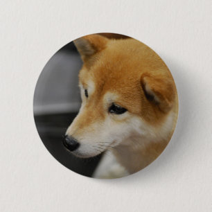 Macaron Rond 5 Cm Bouton de Shiba Inu