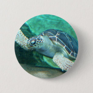 Macaron Rond 5 Cm Bouton de tortue de mer verte