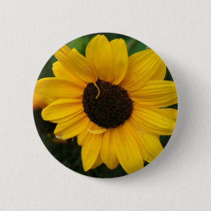 Macaron Rond 5 Cm Bouton de tournesol