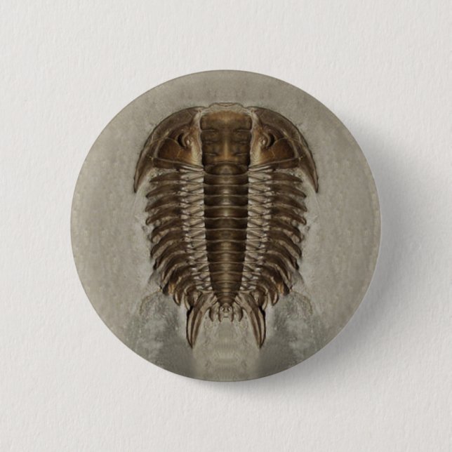 Macaron Rond 5 Cm Bouton de Trilobite (Devant)