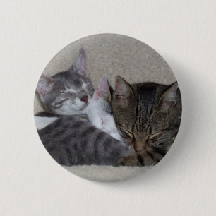 Macaron Rond 5 Cm Bouton de trio de chat