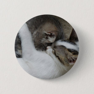 Macaron Rond 5 Cm Bouton Déclenches de chat