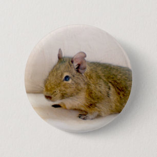 Macaron Rond 5 Cm Bouton Degu