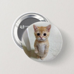 Macaron Rond 5 Cm Bouton d'épingle de mème de chat El Gato
