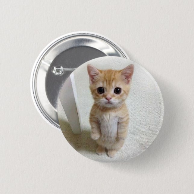 Macaron Rond 5 Cm Bouton d'épingle de mème de chat El Gato (Devant & derrière)