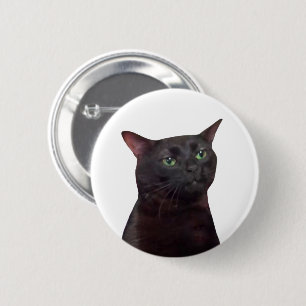 Macaron Rond 5 Cm Bouton d'épingle de mème de chat Zoned Out
