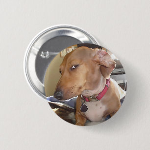 Macaron Rond 5 Cm Bouton d'épingle de mème pour chien oeil latéral