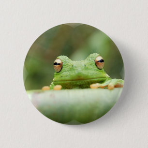 Macaron Rond 5 Cm Bouton des yeux de grenouille