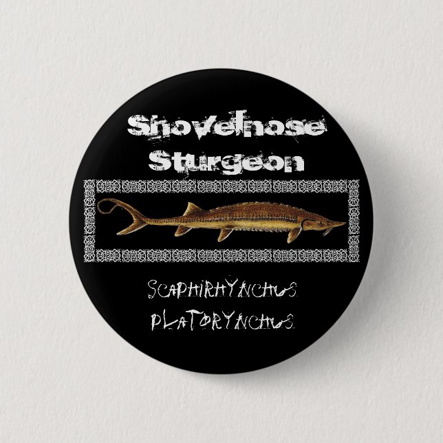 Macaron Rond 5 Cm Bouton d'esturgeon - esturgeon de Shovelnose (Devant)