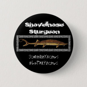 Macaron Rond 5 Cm Bouton d'esturgeon - esturgeon de Shovelnose